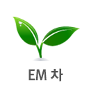 em차